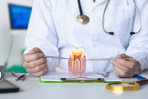 Best Emergency Root Canal Treatment in Oill, NE